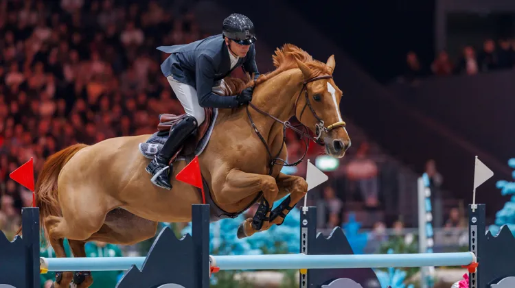 Ici à Genève, Julien Épaillard et Dubai du Cèdre ont remporté une belle victoire à Amsterdam ce 27 janvier