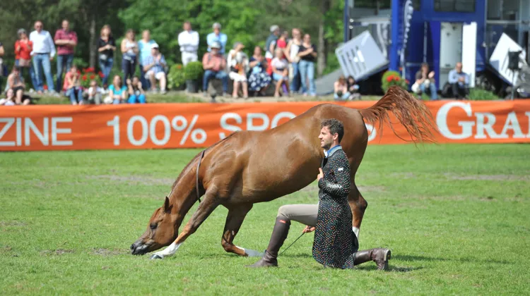 Santi Serra et Nika se sont produits sur les plus belles pistes de la planète, dont le Grand Parquet de Fontainebleau, à l’invitation de GRANDPRIX Events.
