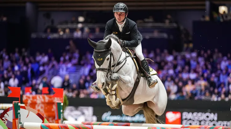 Richard Howley et Zodiak du Buisson en novembre à Lyon.