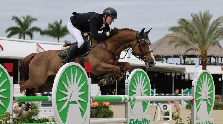 Rupert Carl Winkelmann a décroché son plus beau succès, hier à Wellington avec Quinn