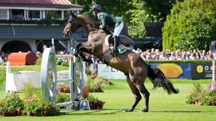 Ici dans la Coupe des nations du CSIO 5* de Dublin l'été dernier, HHS Calais a offert la victoire à Michael Pender sur la piste de Charjah ce vendredi