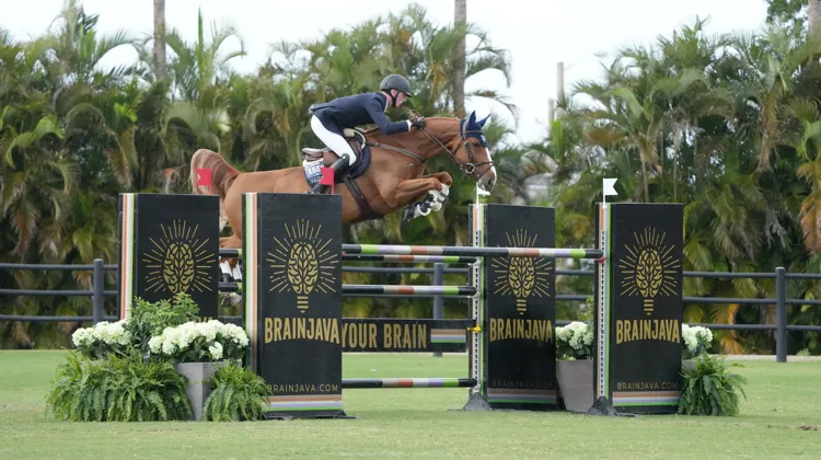 Philip McGuane et Orphea HQ ont remporté la Challenge Cup de ce vendredi à Wellington