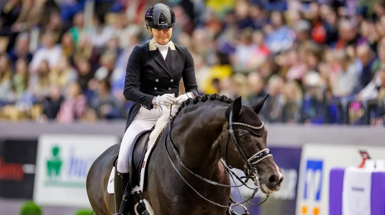 Le puissant et massif Indian Rock a offert la victoire à Emmelie Scholtens, ce samedi à Neumünster