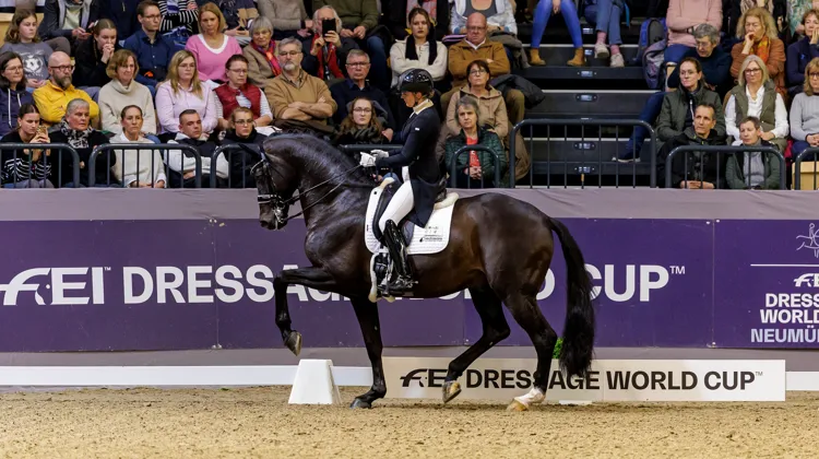 Emmelie Scholtens et Indian Rock ont remporté la Libre du CDI-W de Neumünster ce dimanche