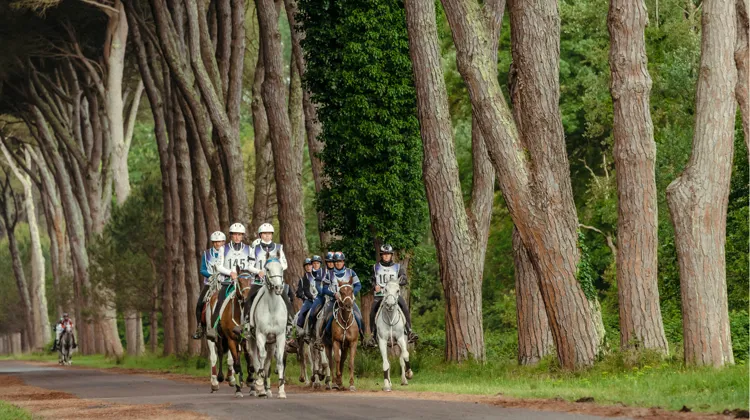 Peloton de chevaux lors des championnats d’Europe d’endurance de Pise, en 2021.