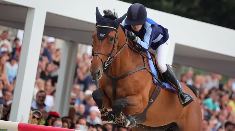 Ici lors de l'étape du Longines Global Champions Tour de Rome en septembre dernier, H&M Indiana s'est offert son troisième Grand Prix 5* ce samedi