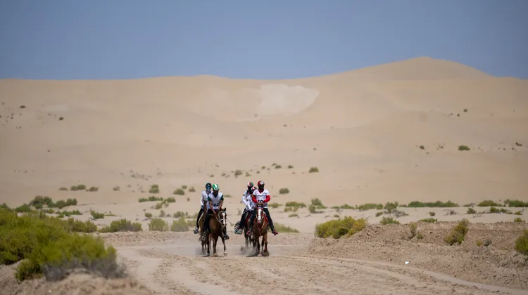 L’an passé, les Mondiaux d’endurance se sont déroulés à Bouthieb, aux Émirats arabes unis.