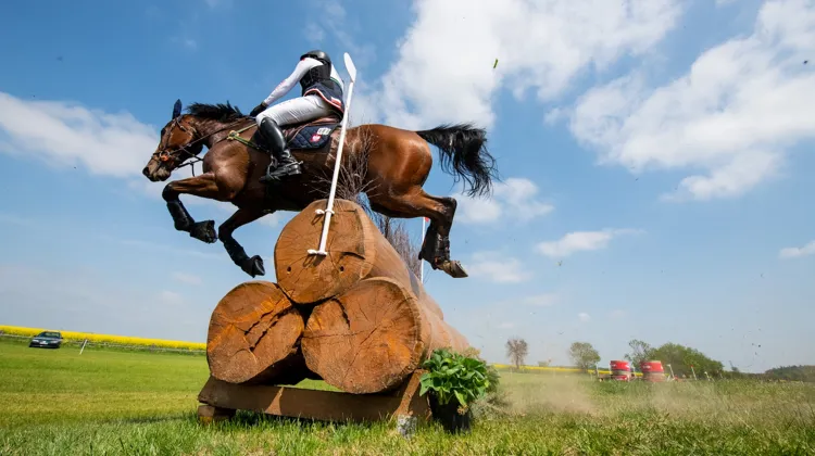 Par exemple, le Club des officiels n’aura plus son mot à dire concernant le nouveau format du concours complet olympique que la FEI entend introniser aux Jeux de Los Angeles 2028...