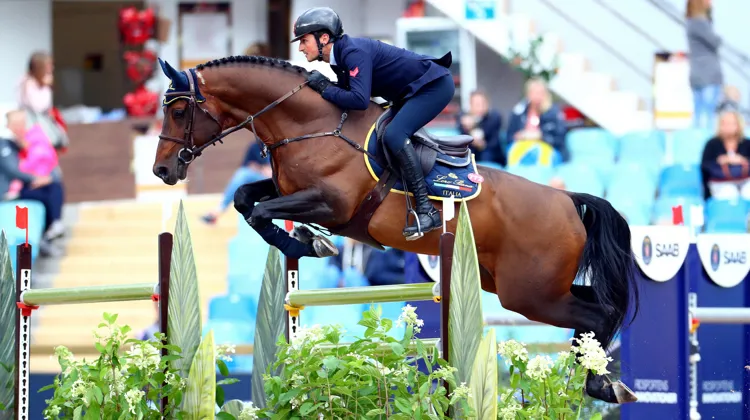 Ici aux championnats d'Europe de Göteborg en 2017 avec Lorenzo De Luca, Armitages Boy a pris part à deux échéances continentales durant sa carrière