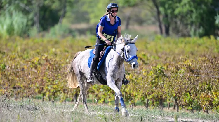 En octobre 2023 à Uzès, Ankara Font Noire a fait sensation lors de la finale nationale des cinq ans, terminant quatrième sous la selle d’Anne-Sophie Berrel.