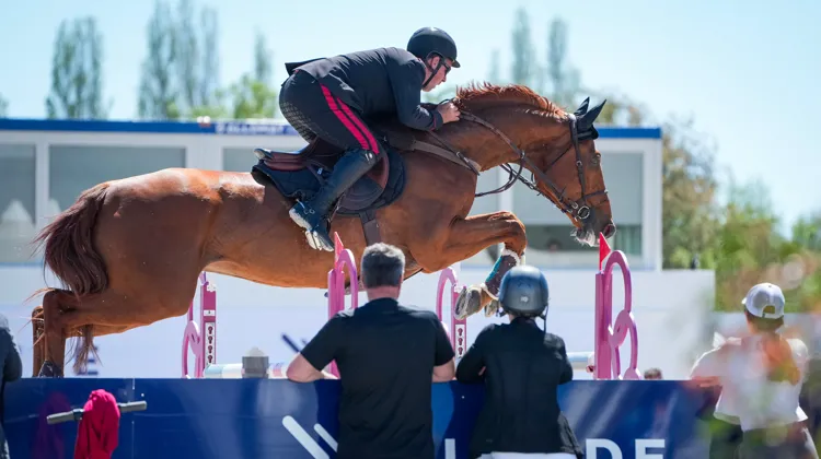 Emanuele Gaudiano a remporté avec autorité le Grand Prix du CSI 3* de Grimaud avec son fidèle Chalou.