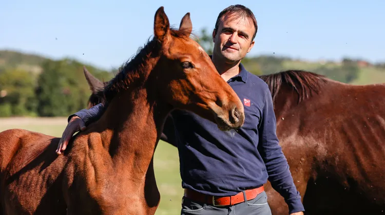 En plus d’être cavalier, Olivier Perreau est également un éleveur passionné.