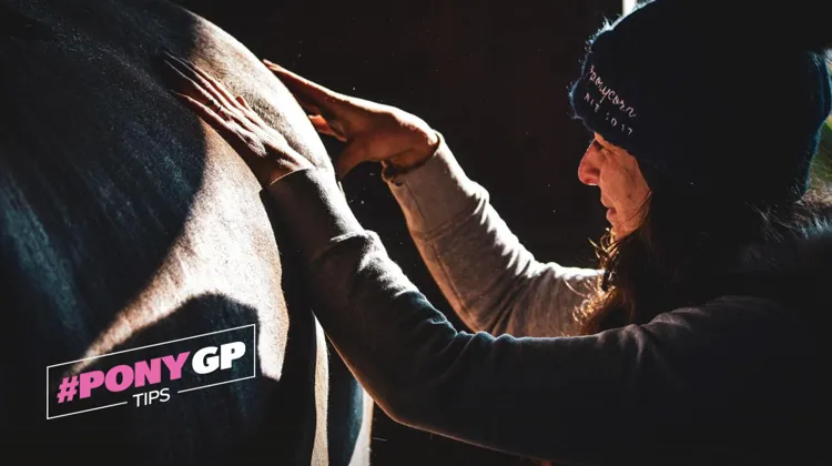 Comment détendre son cheval grâce à trois massages simples, avec Stéphanie de PonyCorn