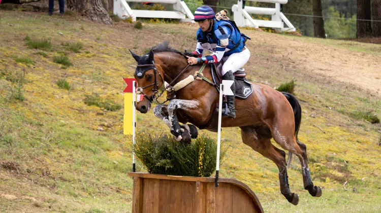 Sébastien Cavaillon et Elipso de la Vigne ont réussi l’un des sept cross parfaits du jour à l’hippodrome de Verrie.