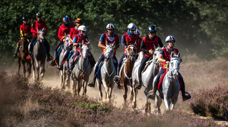L’an passé à Ermelo, la France a été sacrée championne d’Europe rien qu’avec des chevaux nés et formés dans l’Hexagone.