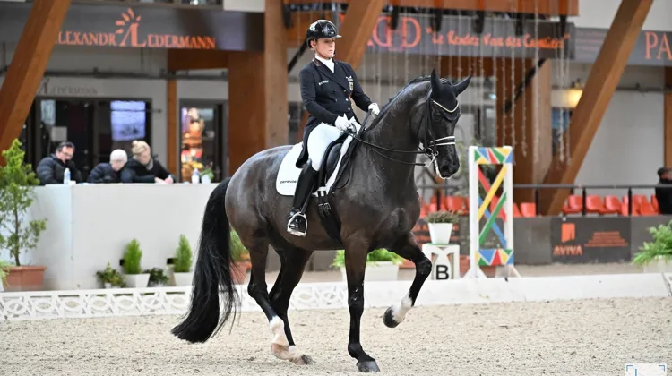Après avoir obtenu d’excellents résultats avec Andreas Helgstrand, Queenparks Wendy*de Fontaine poursuit sa carrière avec l’Allemande Isabell Werth, ici en février au Mans