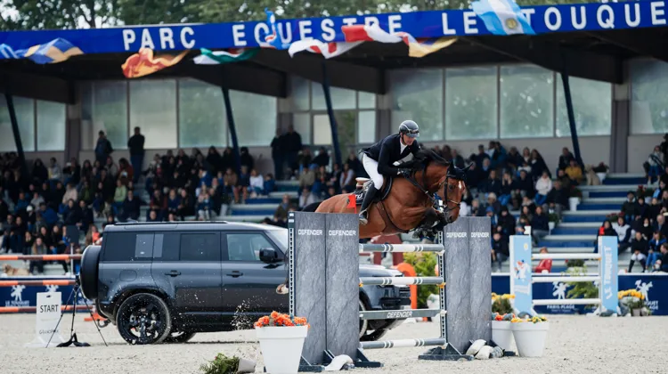 Citadin du Châtellier et Nicolas Delmotte ont a remporté rien de moins que leur trente-neuvième épreuve, hors CSI Jeunes Chevaux.