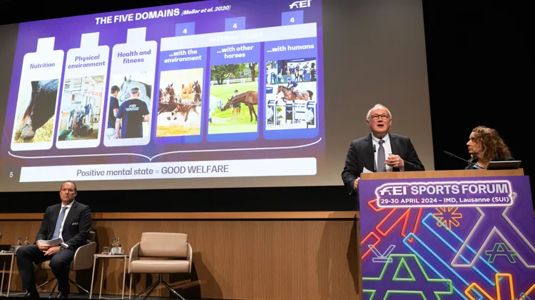 Göran Åkerström (à droite, à côté de Sabrina Ibáñez, secrétaire générale) et Mikael Rentsch, directeurs des services vétérinaire et juridique de la FEI.