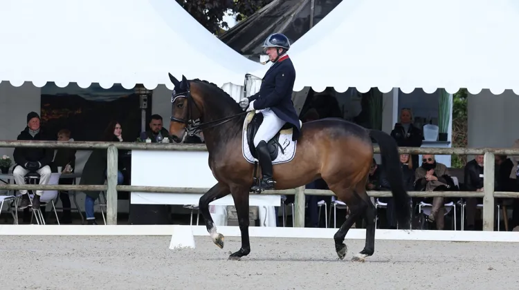 Gilles Siauve et Feneton sont des habitués du Grand National