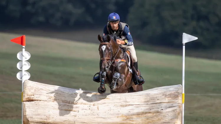 Ici aux Mondiaux de Pratoni en 2022, Alertamalib'Or est l'un des meilleurs porte-étendards de l'élevage de Laurière