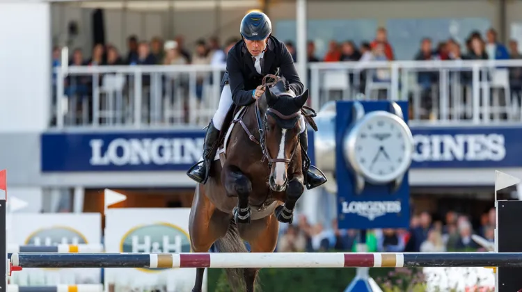 Rolf-Göran Bengtsson est apparu plusieurs fois avec des descendants de son ancien crack Casall, comme Caillan, ici au championnat du monde des chevaux de sept ans, à Lanaken.