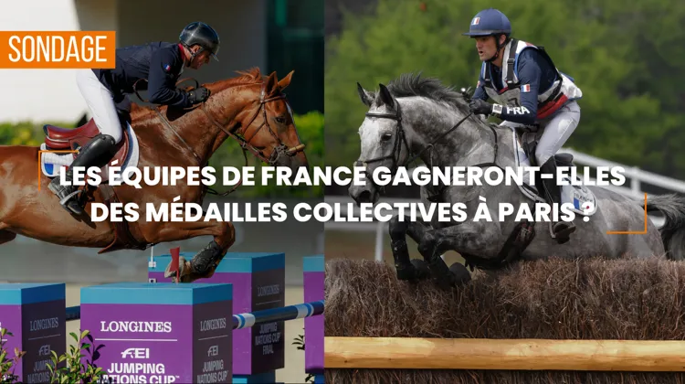 Les équipes de France de complet et saut d’obstacles remporteront-elles des médailles collectives à Versailles ?