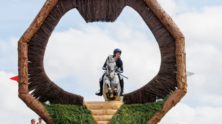 Chaman Dumontceau est l'un des douze Selle Français sélectionnés pour ces Jeux