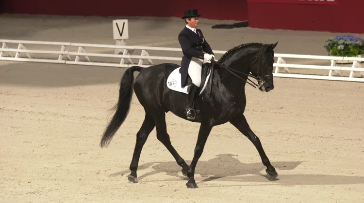 Dominique d'Esmé lors du CDI de Bercy en 2001