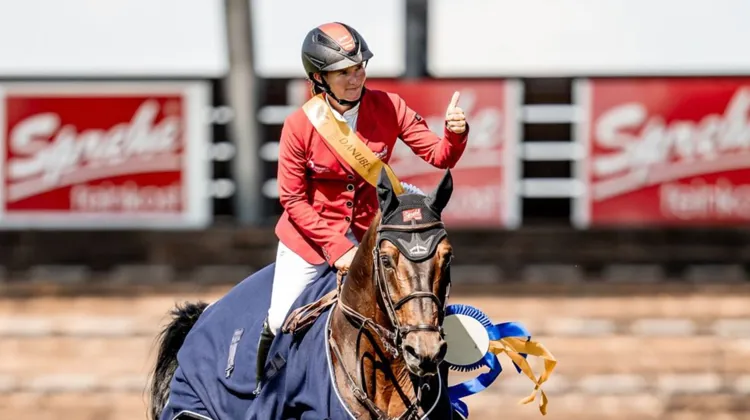 Jörne Sprehe ne cesse de progresser avec Toys, nouvel atout pour le jumping allemand.