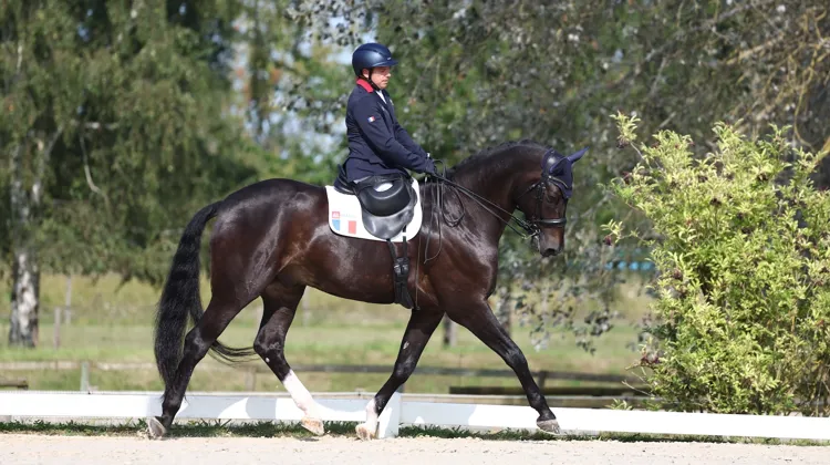 Vladimir Vinchon et Pégase*Mayenne à Champceuil.