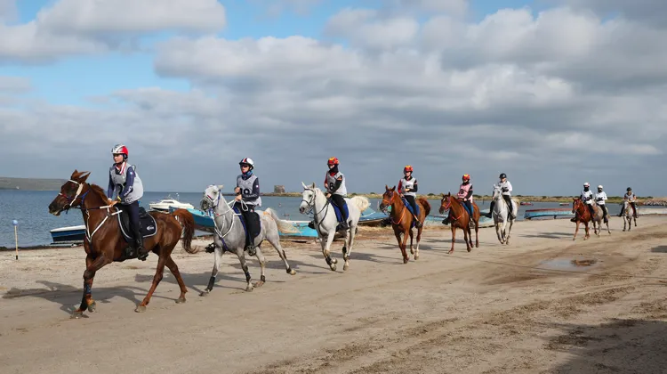 Ces championnats d’Europe se sont déroulés dans le cadre enchanteur d’Arborea, en Sardaigne.