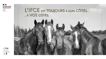 Sept missions aux côtés de la filière équine