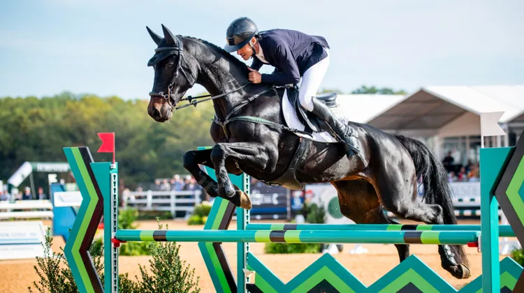 La cinquième tentative au niveau 5* a été la bonne pour Felix Vogg et Cartania.