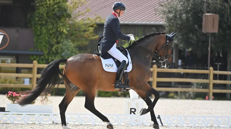 Gareth Hugues et Sintano van Hof Olympia