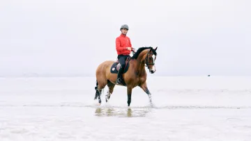 Très attaché au Jumping International de La Baule, Steve Guerdat, ici en selle sur Dynamix de Belhême, ne manquerait pour rien au monde les traditionnels bains de mer offerts aux chevaux chaque matin