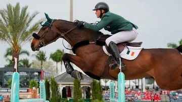 David O'Brien et El Balou disputaient leur première Coupe des nations à Wellington.