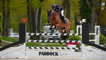 Aux rênes de Amenatis du Domaine, Valentine Michaud s'est imposée devant dix autres barragiste. 