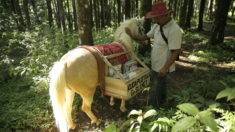 Ridwan Sururi et et sa ponette Luna ont donné naissance à la première Kuda Pustaka du pays.