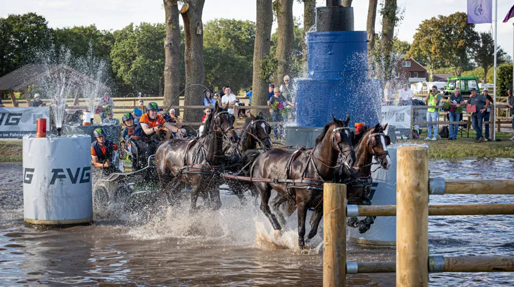 Bram Chardon a décroché son quatrième titre de champion d’Europe d’attelage à quatre chevaux hier en Allemagne.