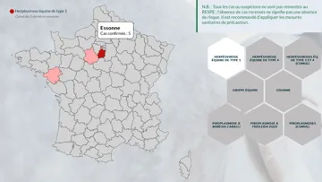 Au 25 novembre, ont été confirmés trois foyers dans l’Essonne, deux foyers dans les Hauts-de-Seine, un dans les Yvelines, un dans l’Eure-et-Loir, un en Loire-Atlantique et un dans l’Orne.