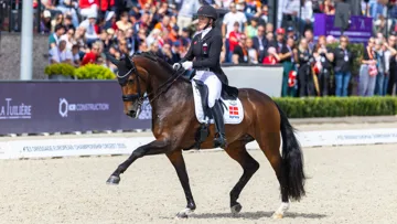 “Si tout a l’air tellement facile dans les prestations de Cathrine Dufour, c’est aussi parce qu’elle est très bien accompagnée par Freestyle”, analyse le cavalier français.