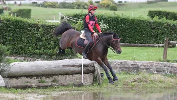 Jaya du Verdon, championne de France des six ans, fait honneur à son crack de père Boston du Verdon, multimédaillé aux championnats d’Europe de concours complet. 