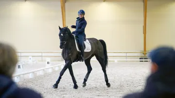Chiara Zenati a présenté son nouveau cheval, Zeus de Malleret*IFCE, propriété de l’Institut français du cheval et de l’équitation.