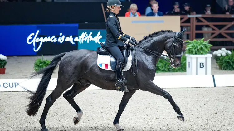 Pauline Basquin a terminé troisième de l’étape de la Coupe du monde avec un Sertorius de Rima Z*IFCE à l’attitude toujours aussi plaisante.