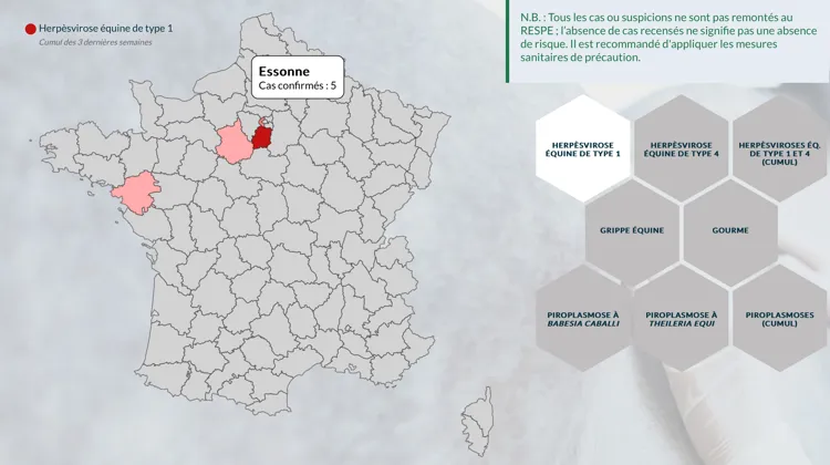 Au 25 novembre, ont été confirmés trois foyers dans l’Essonne, deux foyers dans les Hauts-de-Seine, un dans les Yvelines, un dans l’Eure-et-Loir, un en Loire-Atlantique et un dans l’Orne.