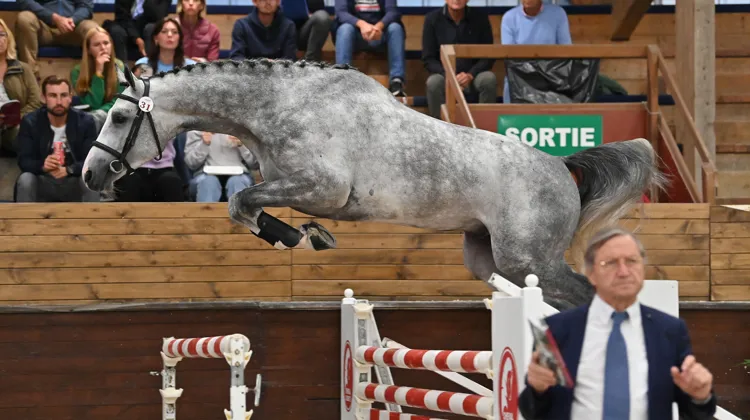 Air France, Top Price de la soirée, a fait monter les enchères à 72.000 euros.