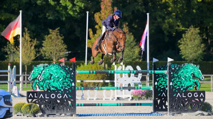 Gaspard Maksud et l’aérien Ballypatrick Tiberius lors de leur ultime parcours commun, conclu avec une victoire dans le Grand Prix 3* d’Opglabbeek.