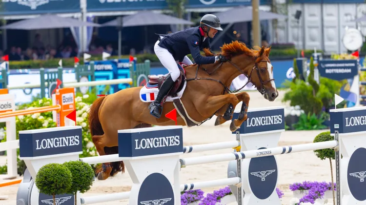 L’an passé, Viking d’la Rousserie et Kevin Staut avaient contribué à la victoire de la France dans l’étape néerlandaise de la Ligue des nations, au CSIO 5* de Rotterdam.