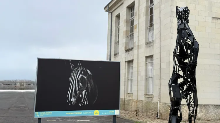 “Zébrures”, le cliché de Morgan Froment, contributeur occasionnel de GRANDPRIX, s’expose devant le musée de la Cavalerie.