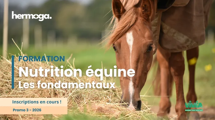 Donner aux professionnels les clés de la nutrition équine